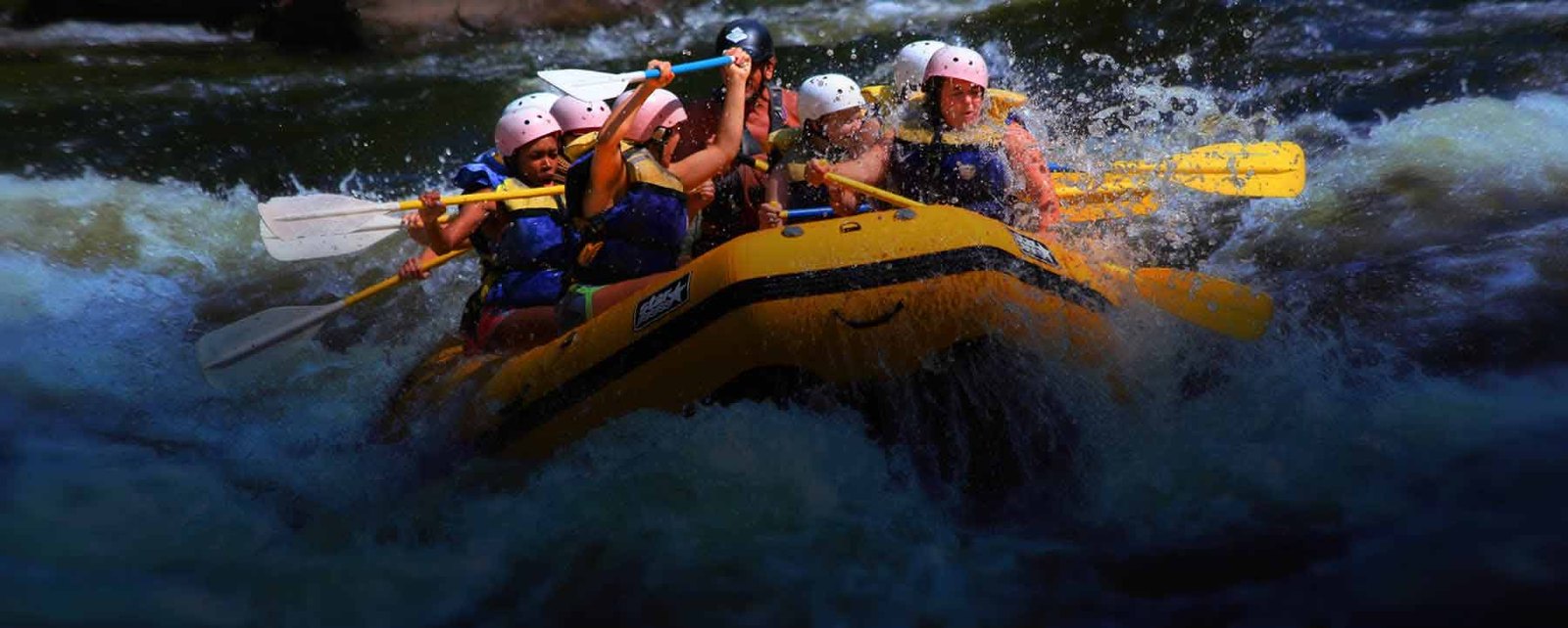 Rafting with Rapid Expeditions